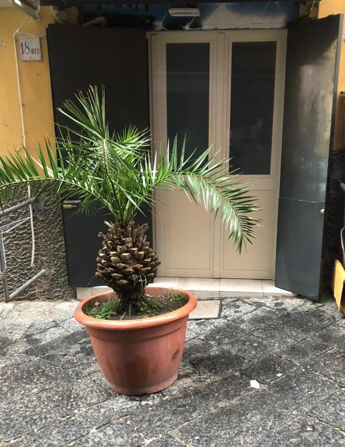 Graphite House Apartment Napoli Ngoại thất bức ảnh